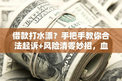 北京借款打水漂？手把手教你合法起诉+风险清零妙招，血泪教训换来的干货！