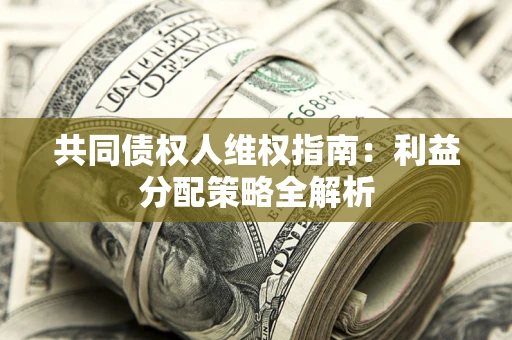 北京共同债权人维权指南：利益分配策略全解析